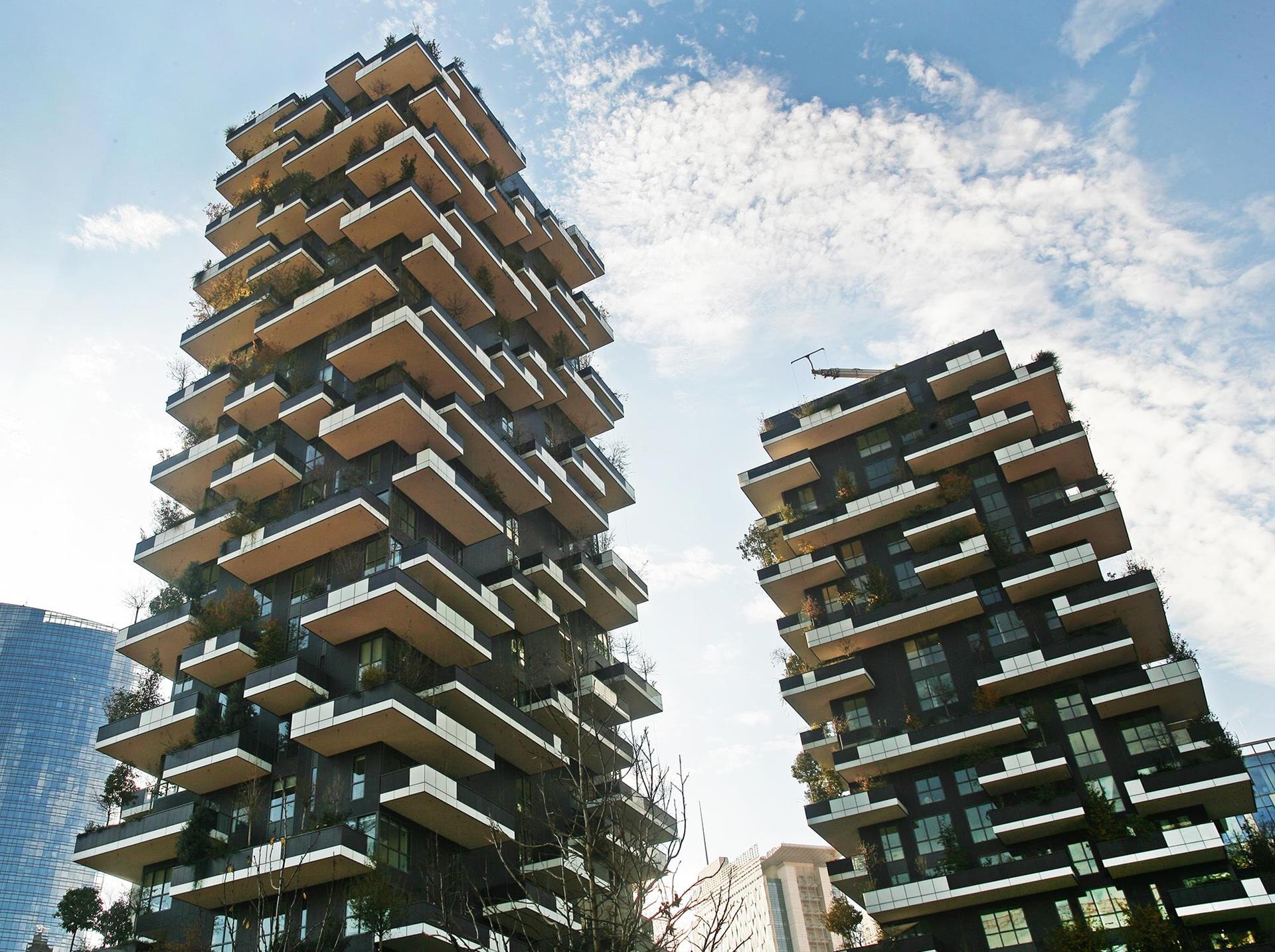 Vertical Forest: Photo 29